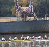 College Sport for Semester 1 wraps up with Regatta