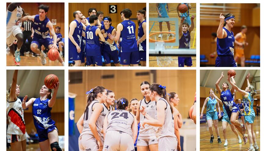 University Basketball League